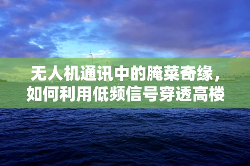 无人机通讯中的腌菜奇缘，如何利用低频信号穿透高楼林立的城市？