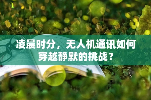 凌晨时分，无人机通讯如何穿越静默的挑战？