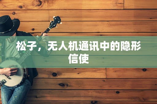 松子，无人机通讯中的隐形信使