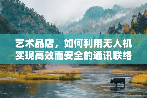 艺术品店，如何利用无人机实现高效而安全的通讯联络？