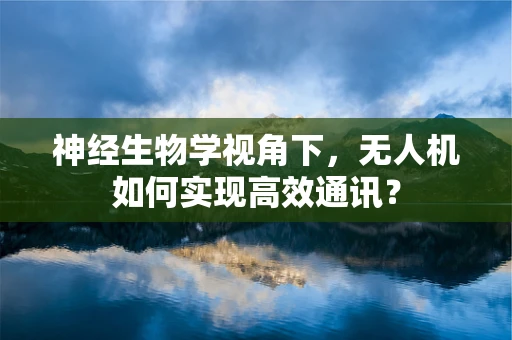 神经生物学视角下，无人机如何实现高效通讯？