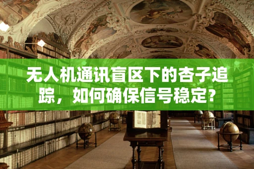 无人机通讯盲区下的杏子追踪，如何确保信号稳定？