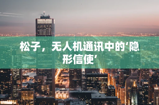 松子，无人机通讯中的‘隐形信使’