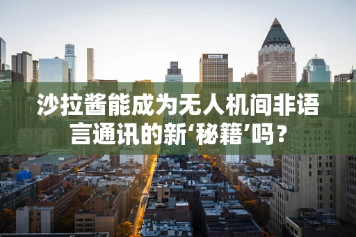 沙拉酱能成为无人机间非语言通讯的新‘秘籍’吗？