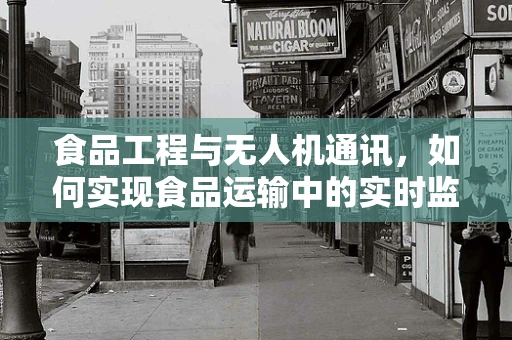 食品工程与无人机通讯，如何实现食品运输中的实时监控与安全保障？