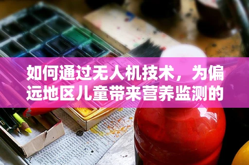 如何通过无人机技术，为偏远地区儿童带来营养监测的‘空中之眼’？