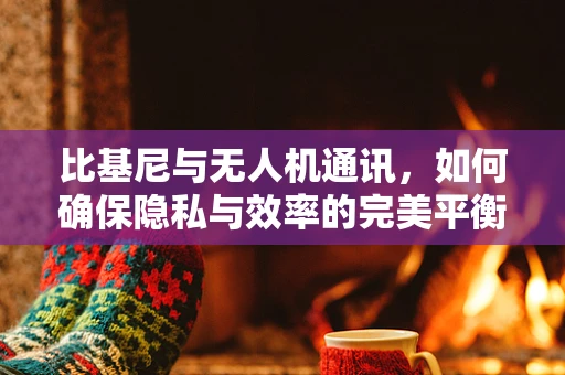 比基尼与无人机通讯，如何确保隐私与效率的完美平衡？