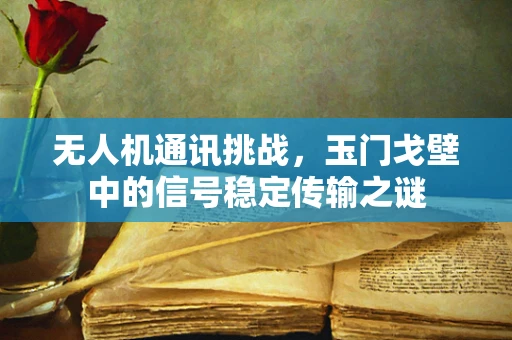 无人机通讯挑战，玉门戈壁中的信号稳定传输之谜