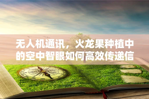 无人机通讯，火龙果种植中的空中智眼如何高效传递信息？