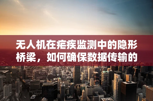 无人机在疟疾监测中的隐形桥梁，如何确保数据传输的稳定与安全？