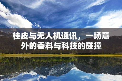桂皮与无人机通讯，一场意外的香料与科技的碰撞