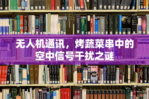 无人机通讯，烤蔬菜串中的空中信号干扰之谜