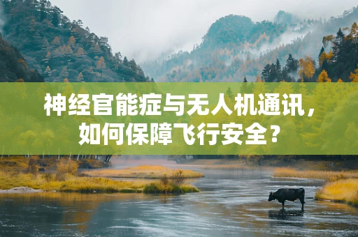神经官能症与无人机通讯，如何保障飞行安全？