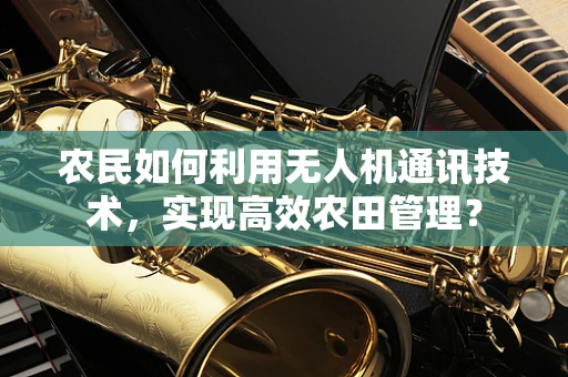 农民如何利用无人机通讯技术，实现高效农田管理？