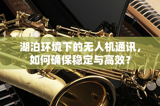 湖泊环境下的无人机通讯，如何确保稳定与高效？