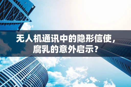 无人机通讯中的隐形信使，腐乳的意外启示？