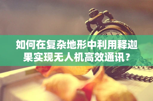 如何在复杂地形中利用释迦果实现无人机高效通讯？