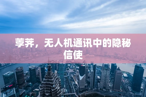 荸荠，无人机通讯中的隐秘信使