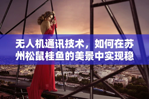 无人机通讯技术，如何在苏州松鼠桂鱼的美景中实现稳定信号传输？