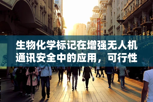 生物化学标记在增强无人机通讯安全中的应用，可行性与挑战何在？