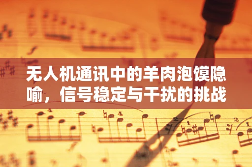 无人机通讯中的羊肉泡馍隐喻，信号稳定与干扰的挑战