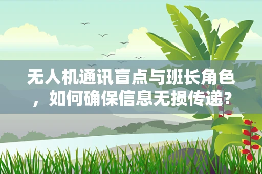 无人机通讯盲点与班长角色，如何确保信息无损传递？