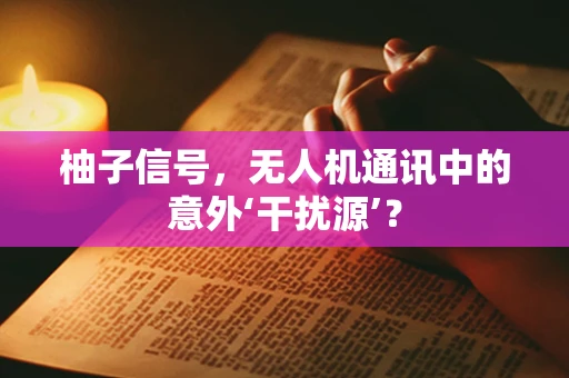 柚子信号，无人机通讯中的意外‘干扰源’？