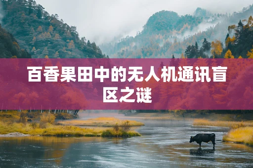 百香果田中的无人机通讯盲区之谜