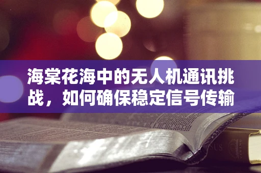 海棠花海中的无人机通讯挑战，如何确保稳定信号传输？