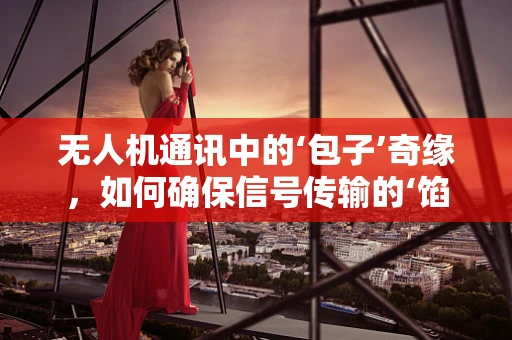 无人机通讯中的‘包子’奇缘，如何确保信号传输的‘馅’料满满？