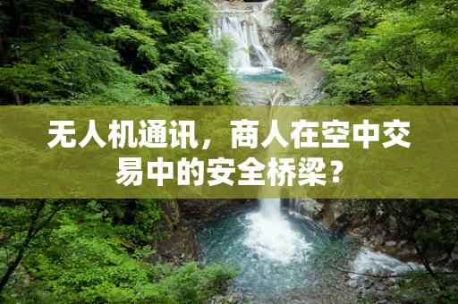 无人机通讯，商人在空中交易中的安全桥梁？