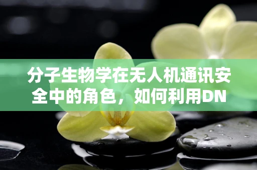 分子生物学在无人机通讯安全中的角色，如何利用DNA编码增强信号抗干扰性？