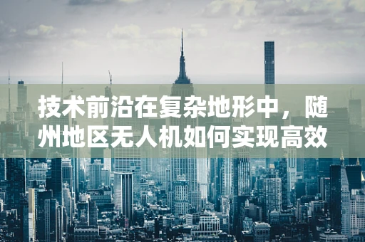技术前沿在复杂地形中，随州地区无人机如何实现高效稳定的通讯联络？