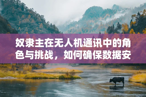 奴隶主在无人机通讯中的角色与挑战，如何确保数据安全与隐私保护？