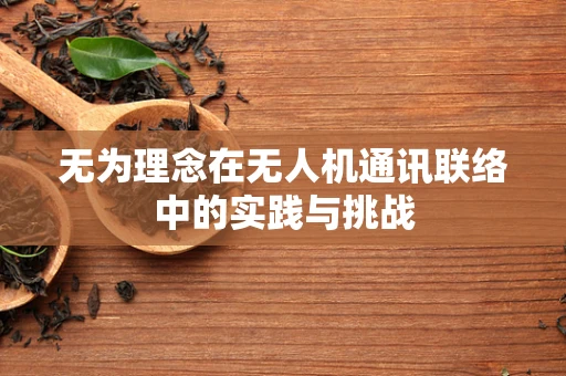 无为理念在无人机通讯联络中的实践与挑战