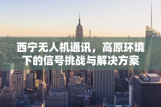 西宁无人机通讯，高原环境下的信号挑战与解决方案