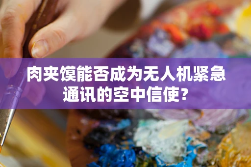 肉夹馍能否成为无人机紧急通讯的空中信使？