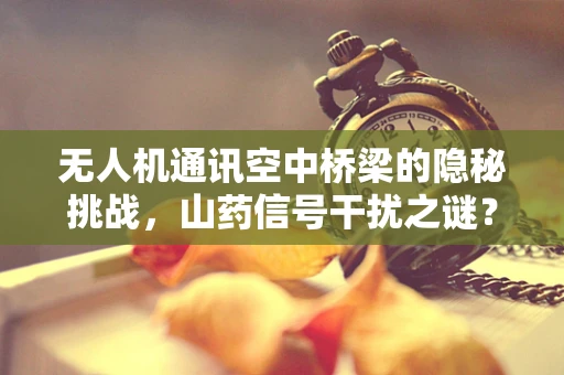 无人机通讯空中桥梁的隐秘挑战，山药信号干扰之谜？