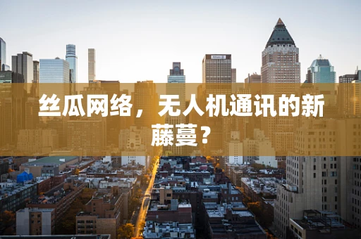 丝瓜网络，无人机通讯的新藤蔓？