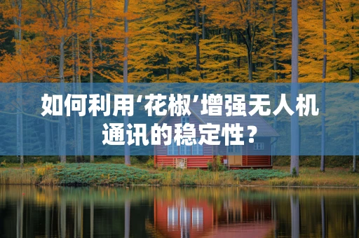 如何利用‘花椒’增强无人机通讯的稳定性？