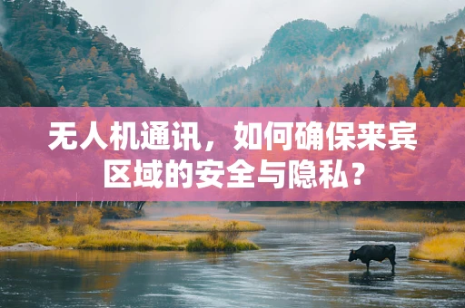 无人机通讯，如何确保来宾区域的安全与隐私？