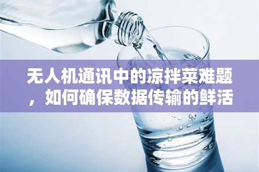无人机通讯中的凉拌菜难题，如何确保数据传输的鲜活与安全？