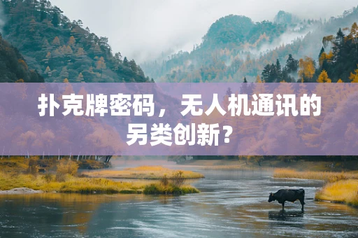 扑克牌密码，无人机通讯的另类创新？