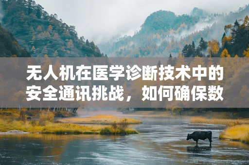 无人机在医学诊断技术中的安全通讯挑战，如何确保数据传输的隐私与安全？