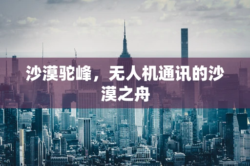 沙漠驼峰，无人机通讯的沙漠之舟