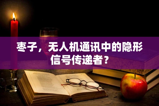 枣子，无人机通讯中的隐形信号传递者？