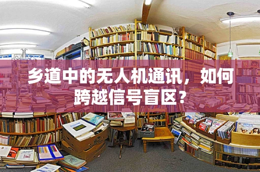 乡道中的无人机通讯，如何跨越信号盲区？