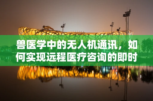 兽医学中的无人机通讯，如何实现远程医疗咨询的即时连接？