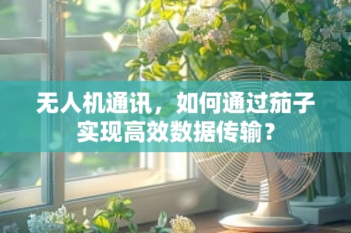 无人机通讯，如何通过茄子实现高效数据传输？