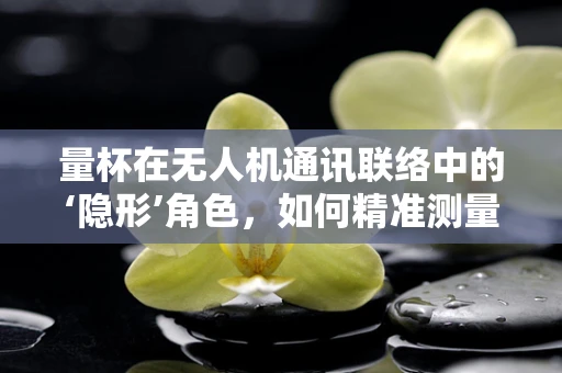 量杯在无人机通讯联络中的‘隐形’角色，如何精准测量信号强度？